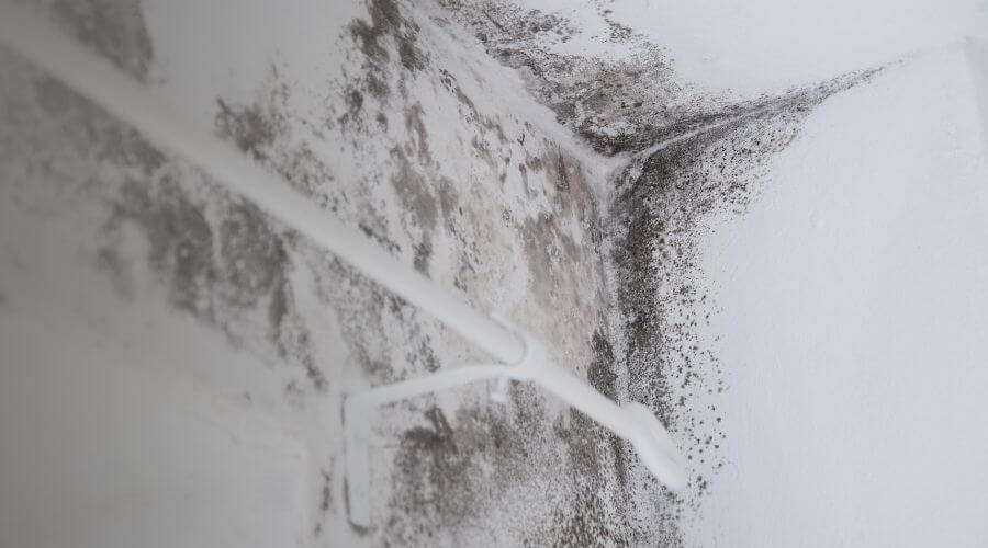 Why choose FreshStart Mitigation for water damage restoration in london